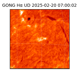 gong - 2025-02-20T07:00:02