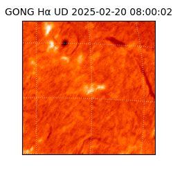 gong - 2025-02-20T08:00:02