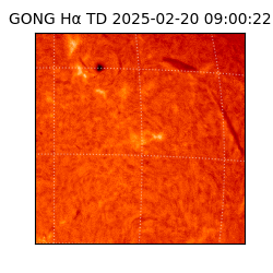 gong - 2025-02-20T09:00:22