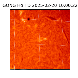gong - 2025-02-20T10:00:22