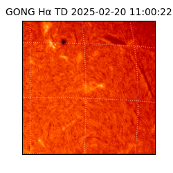 gong - 2025-02-20T11:00:22