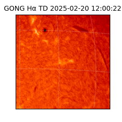 gong - 2025-02-20T12:00:22