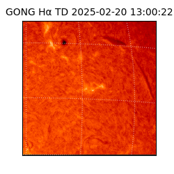 gong - 2025-02-20T13:00:22