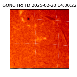 gong - 2025-02-20T14:00:22