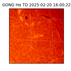 gong - 2025-02-20T16:00:22