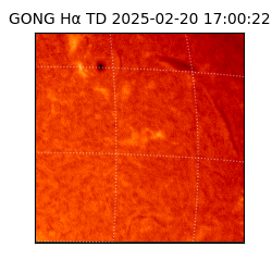 gong - 2025-02-20T17:00:22