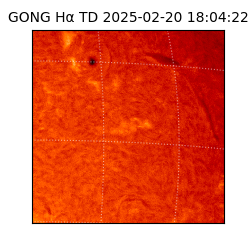 gong - 2025-02-20T18:04:22