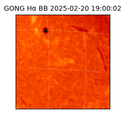 gong - 2025-02-20T19:00:02