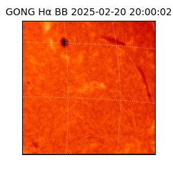 gong - 2025-02-20T20:00:02