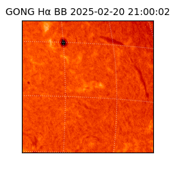 gong - 2025-02-20T21:00:02