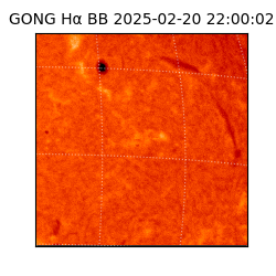 gong - 2025-02-20T22:00:02