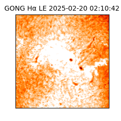 gong - 2025-02-20T02:10:42