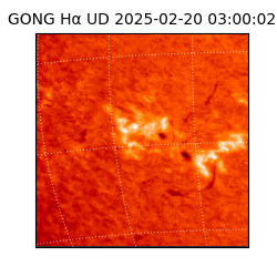 gong - 2025-02-20T03:00:02