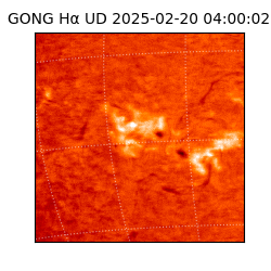 gong - 2025-02-20T04:00:02