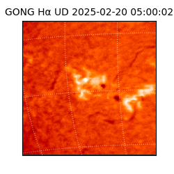 gong - 2025-02-20T05:00:02