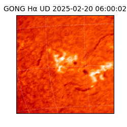 gong - 2025-02-20T06:00:02