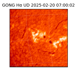 gong - 2025-02-20T07:00:02