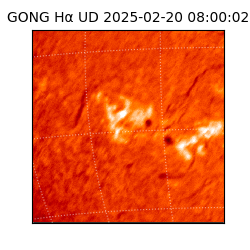 gong - 2025-02-20T08:00:02