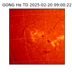 gong - 2025-02-20T09:00:22