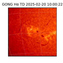 gong - 2025-02-20T10:00:22