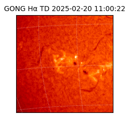 gong - 2025-02-20T11:00:22