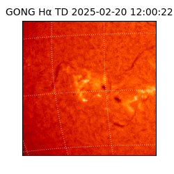 gong - 2025-02-20T12:00:22