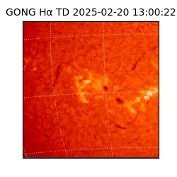 gong - 2025-02-20T13:00:22