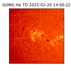 gong - 2025-02-20T14:00:22