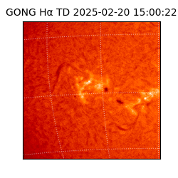 gong - 2025-02-20T15:00:22