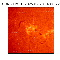 gong - 2025-02-20T16:00:22