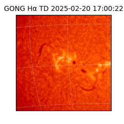 gong - 2025-02-20T17:00:22