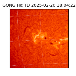 gong - 2025-02-20T18:04:22