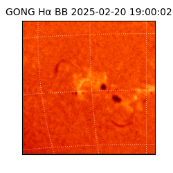 gong - 2025-02-20T19:00:02