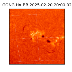 gong - 2025-02-20T20:00:02