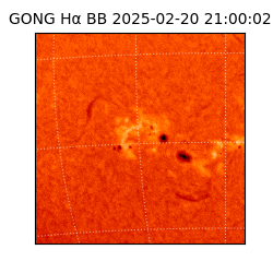 gong - 2025-02-20T21:00:02