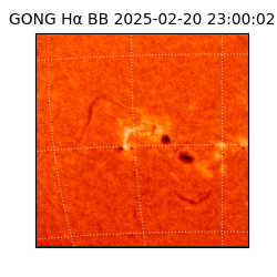 gong - 2025-02-20T23:00:02