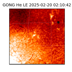 gong - 2025-02-20T02:10:42