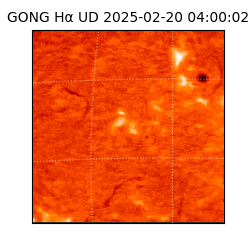 gong - 2025-02-20T04:00:02