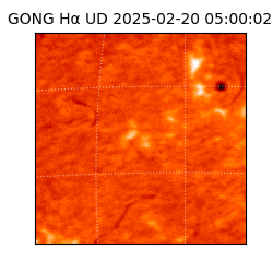gong - 2025-02-20T05:00:02