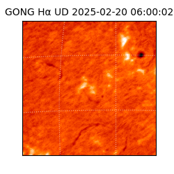 gong - 2025-02-20T06:00:02