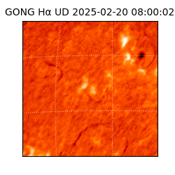 gong - 2025-02-20T08:00:02