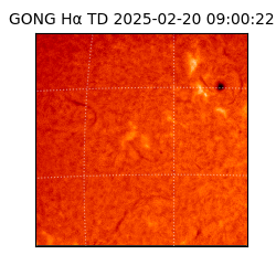 gong - 2025-02-20T09:00:22