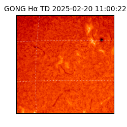 gong - 2025-02-20T11:00:22