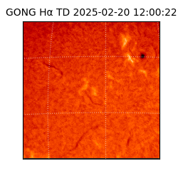 gong - 2025-02-20T12:00:22