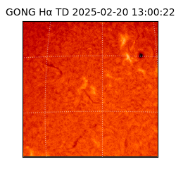 gong - 2025-02-20T13:00:22