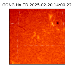 gong - 2025-02-20T14:00:22