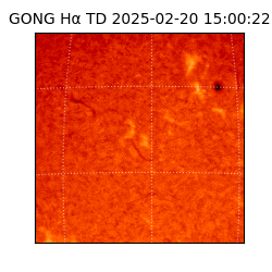 gong - 2025-02-20T15:00:22