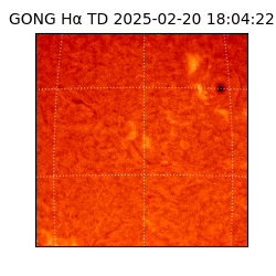 gong - 2025-02-20T18:04:22