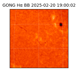 gong - 2025-02-20T19:00:02