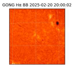 gong - 2025-02-20T20:00:02